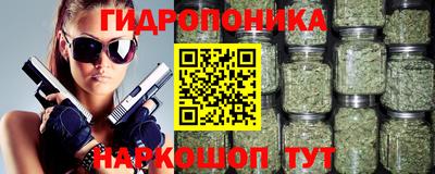 гидропоника Будённовск